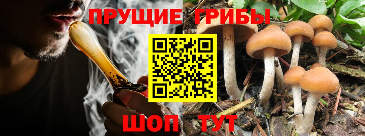 Псилоцибиновые грибы GOLDEN TEACHER Тобольск